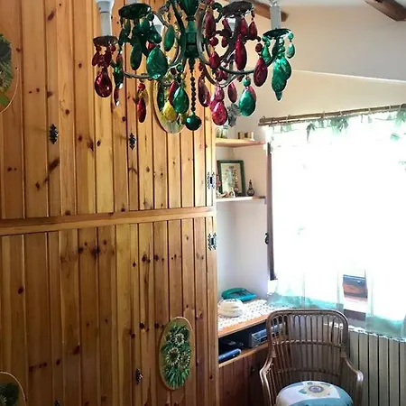 فيلة Marisa's House